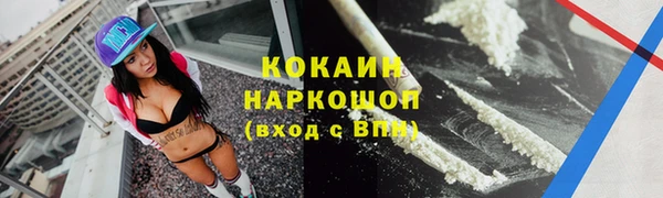 стафф Заводоуковск