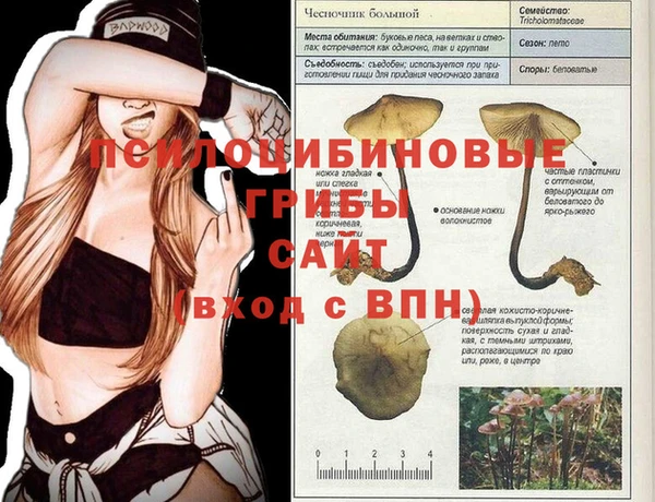 mix Заволжск