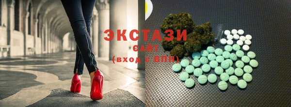 стафф Заводоуковск